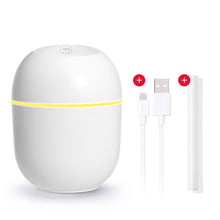 Load image into Gallery viewer, New Humidifier Cute Pet Mini Household Small Moisturizing Aromatherapy Car Creativity Air Bear USB Humidifier LED Mist Maker